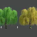 Garden Landscape Featuring Green And Yellow Willow Trees With Drooping Branches
