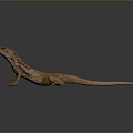 Detailed Brown Orange Spotted Lizard Standing On Shiny Dark Reflective Surface 3d model