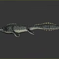 Ichthyosaur Model With Streamlined Body Blue Black Stripes Pointed Head Long Tail And Flippers