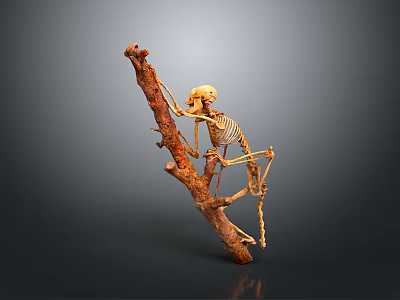Detailed Mantis Skeleton Clinging to Natural Tree Branch with Realistic Features 3d model