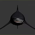 Dark Colored Shark In Swimming Pose With White Underbelly Red Mouth Sharp Teeth