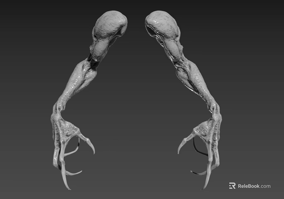 Terrifying Game Movie Character Monster Arm With Sharp Claws And 3D Muscular Structure 3d model 