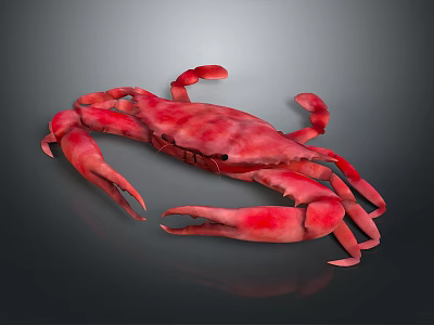 Red Crab With Large Claws And Shiny Exoskeleton On Gray Background 3d model
