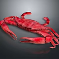 Red Crab With Large Claws And Shiny Exoskeleton On Gray Background 3d model
