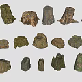 Garden Ornaments Featuring Various Shaped And Sized Wooden Tree Stumps