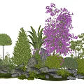 Vibrant Plant Combination with Purple Flowers Green Shrubs Rocks and Grass in Garden