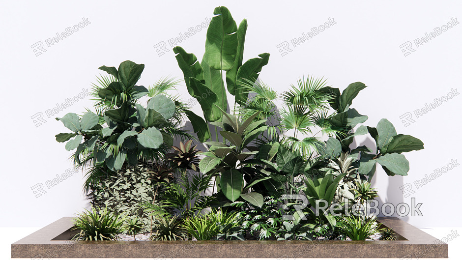 Modern Plant Plant Combination Tropical Plant Combination model