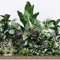 Lush Green Plant Arrangement With Large Tropical Leaves And Palm Varieties For Indoor Outdoor