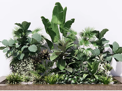 Lush Green Plant Arrangement With Large Tropical Leaves And Palm Varieties For Indoor Outdoor 3d model
