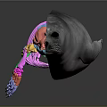 3D Rendered Whale Anatomical Model Displaying Colorful Skeleton And Internal Organs