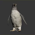 Gray and White Penguin with Yellow Beak Standing on Dark Background