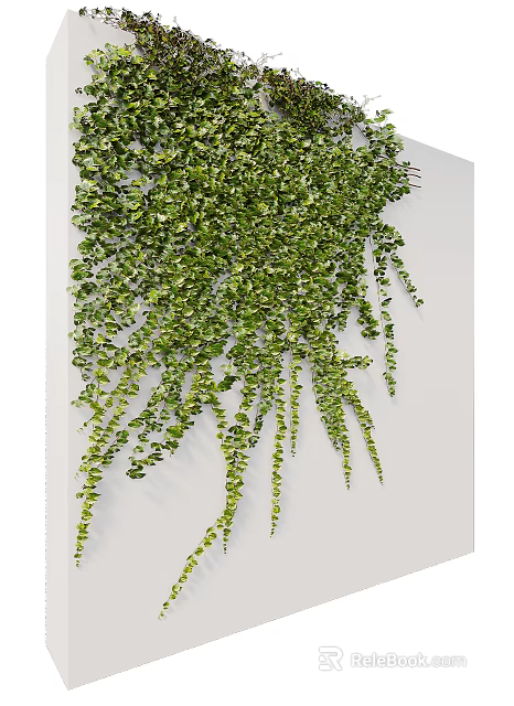 Lush Green Trailing Vines With Dense Hanging Leaves For Decorative 3d model 