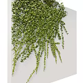 Lush Green Trailing Vines With Dense Hanging Leaves For Decorative 3d model