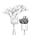Bonsai Plants On Black Tripod Stands With Terracotta And Gold Planters And Green Foliage