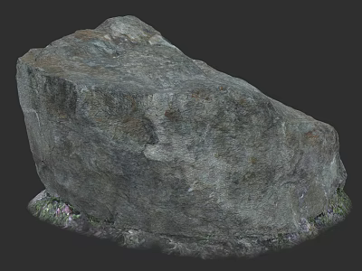 Natural Stone Material With Green And Purple Small Plants At Bottom 3d model