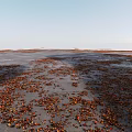 Autumn Fallen Leaves Scattered On Gray Ground With Red And Yellow Colors