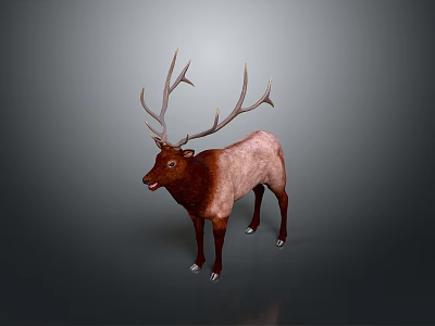 Brown and Pink Fur Deer With Large Antlers Standing On Gray Background 3d model