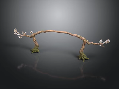 Curved Plant Branch With Green Roots And White Buds Against Dark Background With Reflection 3d model
