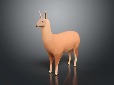 Light Brown Llama Standing On Dark Background With Shiny Surface 3d model
