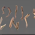 Realistic 3D Models of Human Arms and Hands in Different Poses for Design Projects