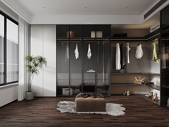 Modern cloakroom master bedroom 3d model