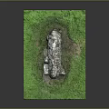 Natural Wooden Stone Decorative Piece With Green Grass Base And Textured Surface