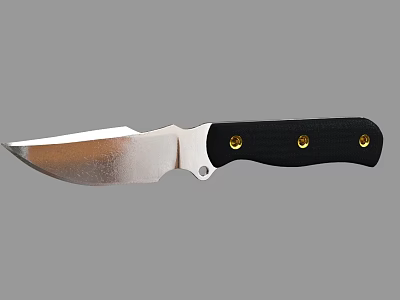 Tactical Knife With Stainless Steel Blade Black Handle And Gold Rivets 3d model