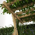 Outdoor Wooden Bench Swing With Ivy Covered Pergola Green Ivy Wall Stone Path