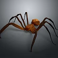 Detailed Brown Spider With Carved Texture Body And Long Legs Isolated On Dark Background