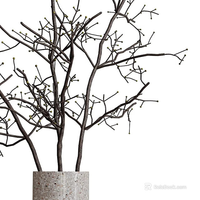 Shower Sauna Space With Decorative Leafless Tree Brown Trunk And White Background 3d model 