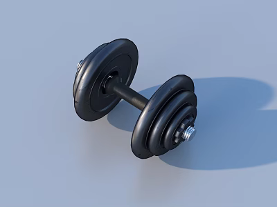 Black Adjustable Dumbbell With Metal Bar And Weight Plates For Home Fitness Equipment 3d model
