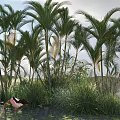 Scenic Lush Tropical Palm Trees and Green Grass with Flamingos in Water