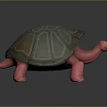Turtle Character 3D Model with Pink Body and Green Brown Shell