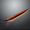 Red Long Bodied Millipede With Numerous Legs On Dark Background 3d model
