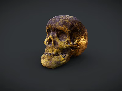 Vintage Golden Brown Textured Skull On Dark Background With Detailed Surface 3d model