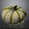 Fresh White and Yellow Striped Pumpkin with Green Spots and Round Shape