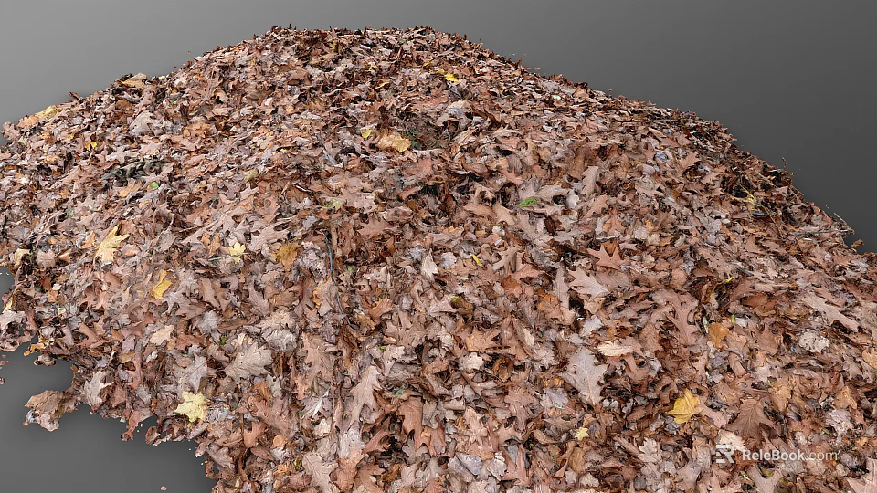 Pile of Dry Brown Autumn Leaves Showing Natural Texture and Ground Cover 3d model 