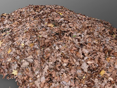 Pile of Dry Brown Autumn Leaves Showing Natural Texture and Ground Cover 3d model