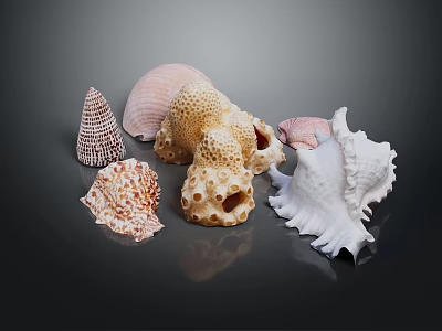 Marine Animal Seashells Collection Featuring Various Shapes Natural Patterns And Colorful Textures 3d model