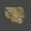 Natural Rock Sample With Fossilized Structures And 1cm Scale Measurement 3d model