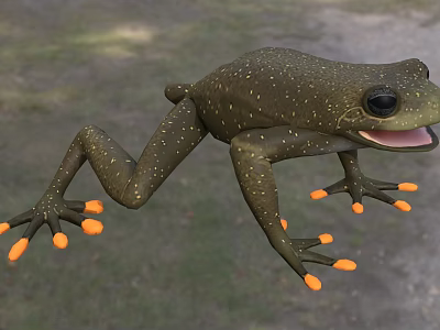 Green Aquatic Frog With Yellow Toes And Open Mouth In Jumping Posture 3d model