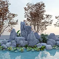 Natural Courtyard Garden With Rocks Trees Water And Water Lilies