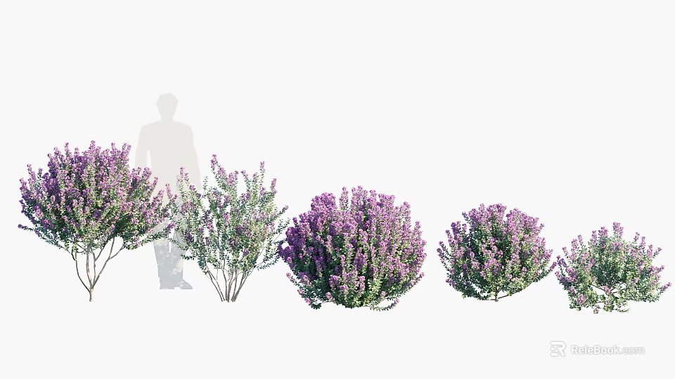 Vibrant Purple Flowering Shrubs In Outdoor Garden With Decorative Landscaping Features 3d model 