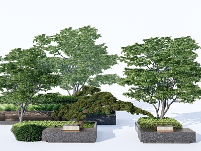 Modern Tree Pond Landscape Plant Landscape Tree Courtyard Plant Garden Tree model