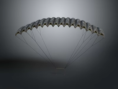 Military Weapon Parachute System With Multi Canopy Design And Suspension Lines For Tactical Airdrop 3d model