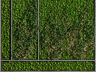 Vertical Living Plant Wall Design With Various Greenery And Textured Patterns 3d model