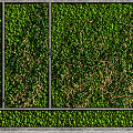 Modern Plant Wall Moss Plant Wall 3d model