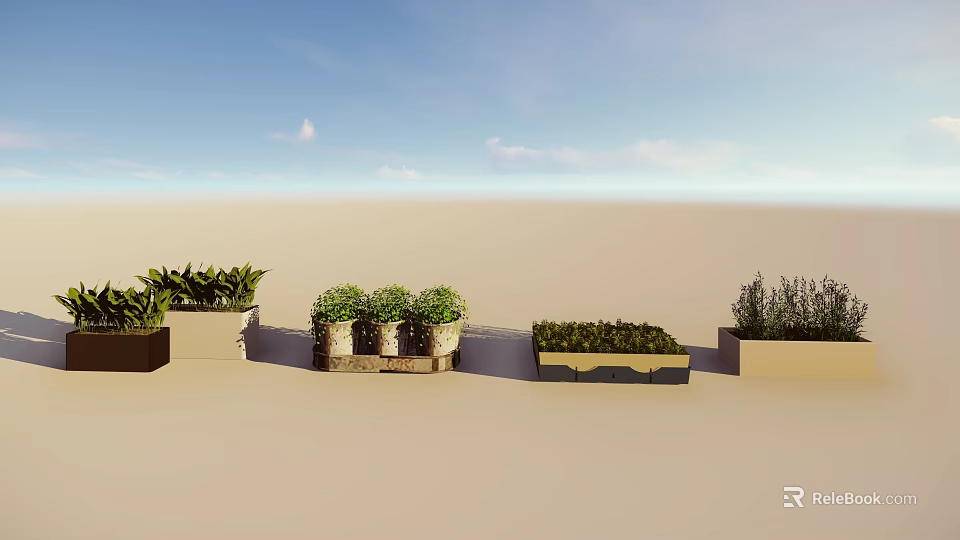 Bonsai Potted Plants Arranged In Different Containers On Outdoor Terrace With Green Foliage 3d model 