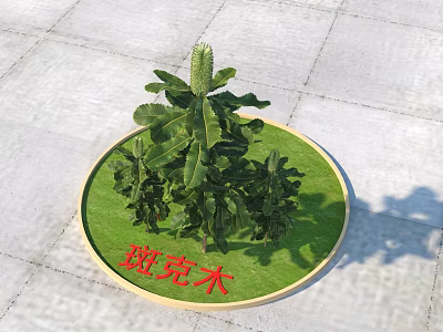 Beautiful Banksia Shrub Growing on Green Circular Lawn with Golden Border 3d model