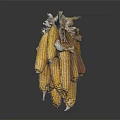 Fresh Yellow Corn with Husks on Dark Background Showing Reflection 3d model